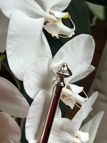 Baria 2Li Pirinç Üzeri Gümüş Kaplama Salata Servisi