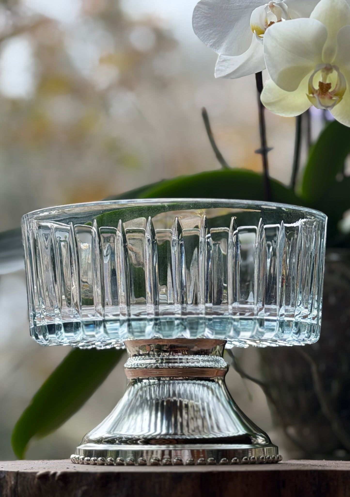 Lia Gümüş Kaplama & Kristal Kase