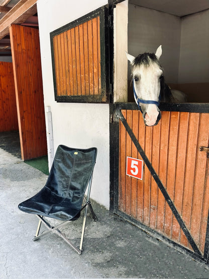 Eir Throne Dış Mekan Yazlık Kılıf Hediyeli Paslanmaz Çelik & Hakiki Deri Sandalye