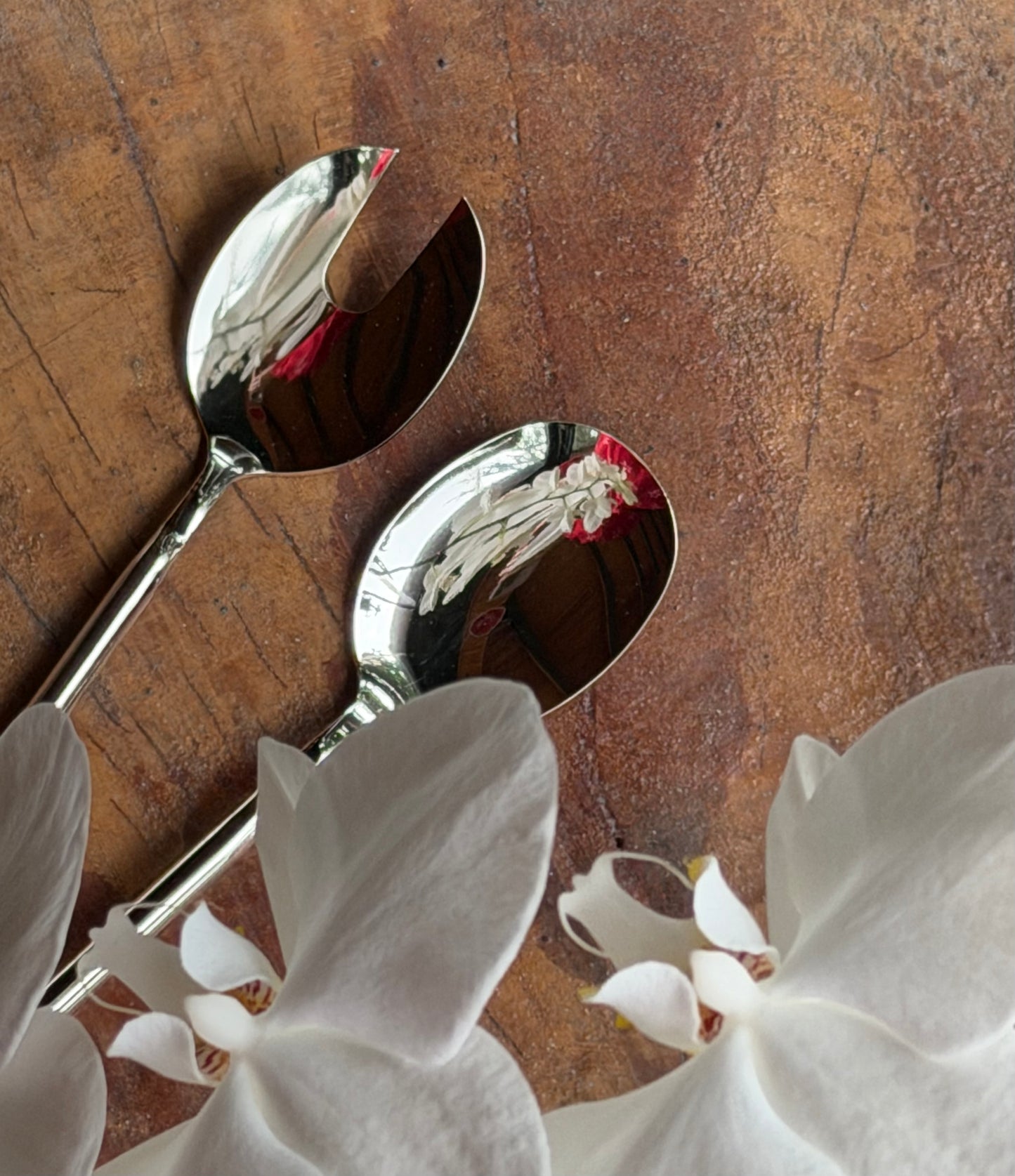 Baria 2Li Pirinç Üzeri Gümüş Kaplama Salata Servisi